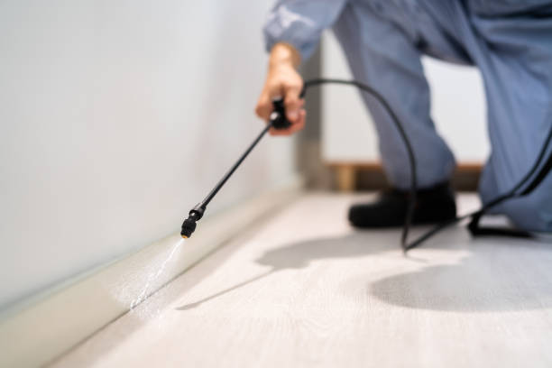 Bed Bug Pre-Treatment Preparation Assessment in Manning