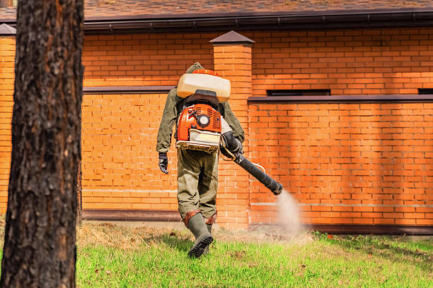 Bed Bug Clearance Verification and Documentation in Manning